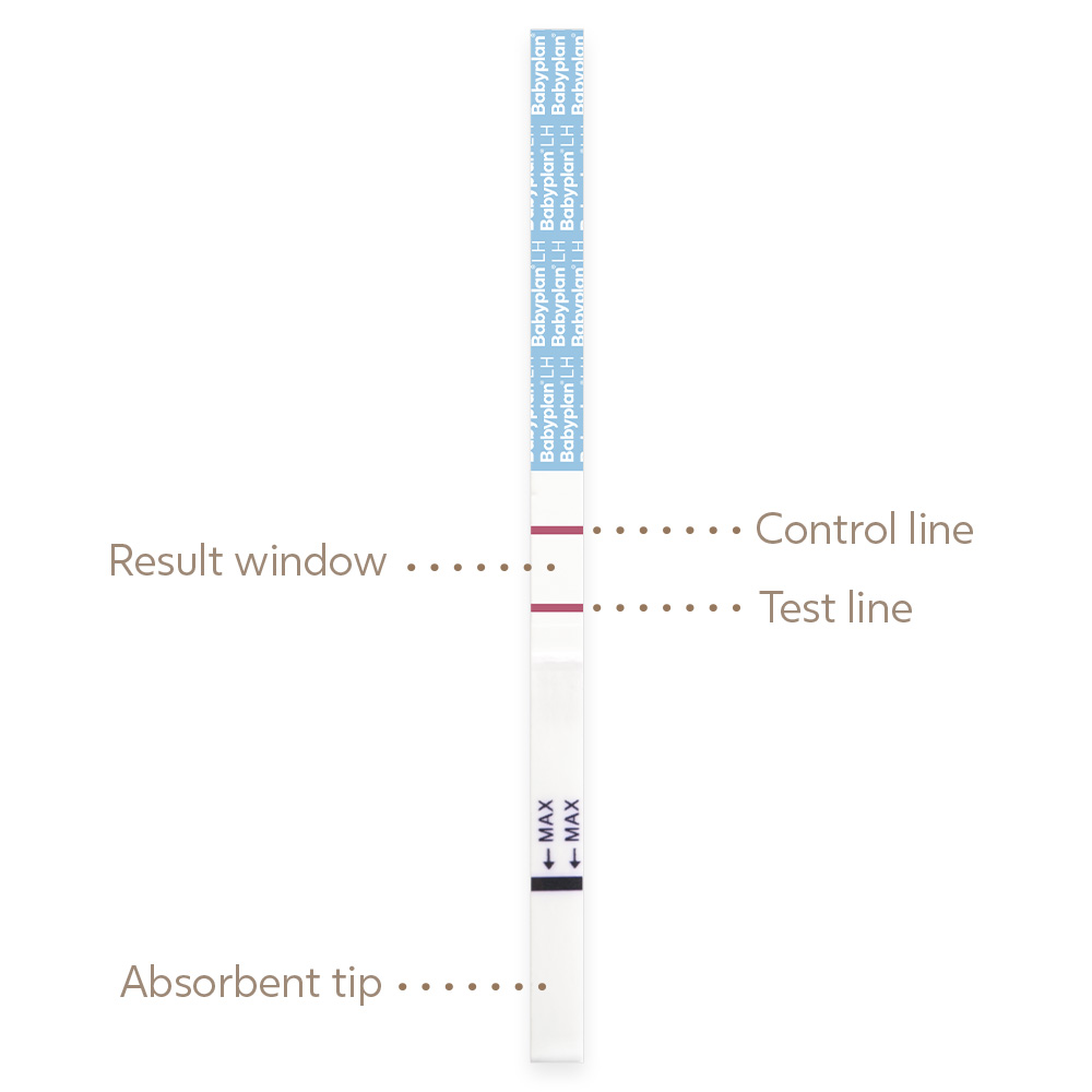 Babyplan ovulation test strip