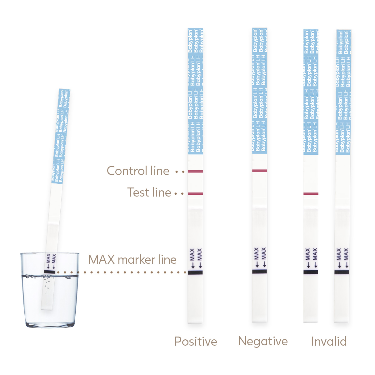 Babyplan ovulation test strip