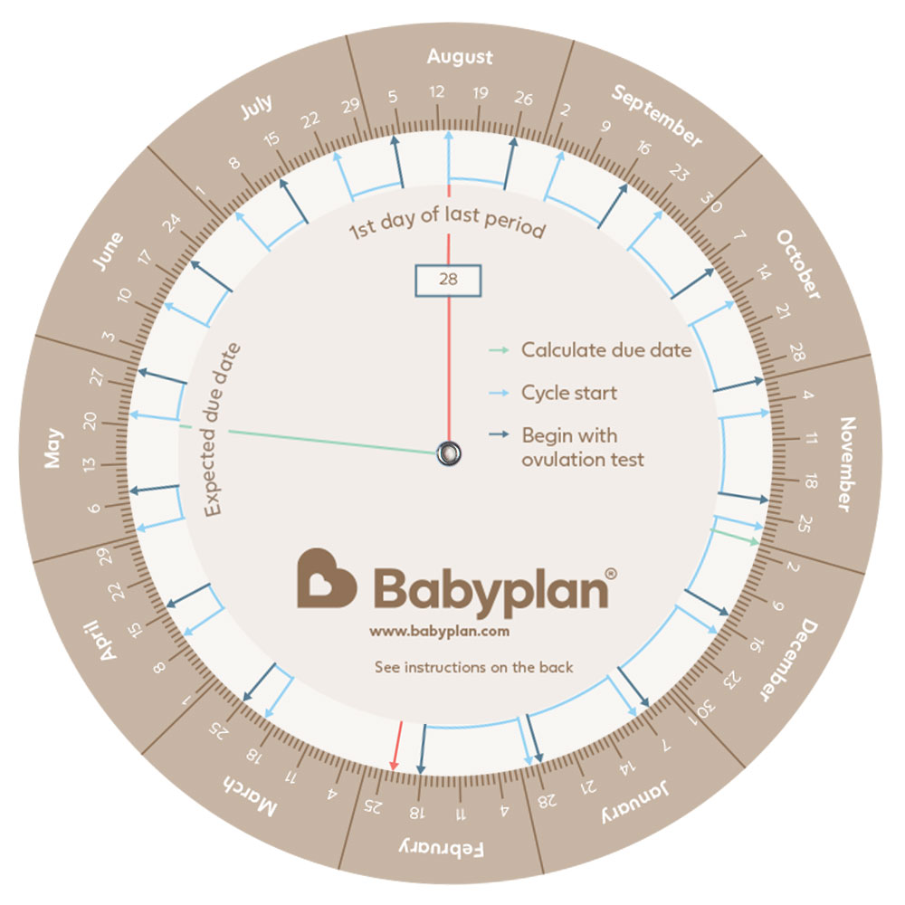 Pregnancy calculator